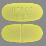 buy norco 10/325 online
